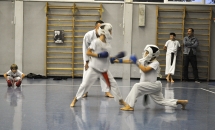 lezione-karate-21-settembre-2017-seishindo (13)