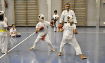 lezione-karate-21-settembre-2017-seishindo (18)