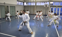 lezione-karate-21-settembre-2017-seishindo (2)