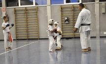 lezione-karate-21-settembre-2017-seishindo (24)