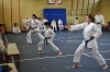 Foto 7 / Esame Karate - Seregno 2012 - Giugno