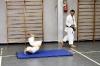 Foto 7 / Lezione  Karate / Giugno 2011