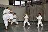 Foto 8 / Lezione  Karate / Giugno 2011