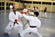 Foto 2 / Lezione  Karate / Novembre 2013