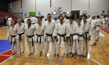 Stage Karate 14 Maggio 2017 a Castellanza